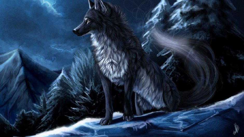 Canis Lupus pallipes