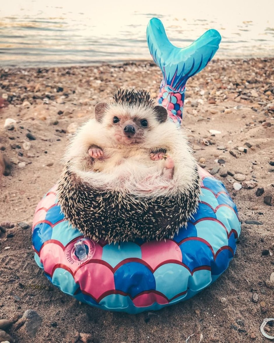 Синий Ежик Соник