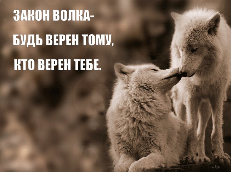 Ауф прикол