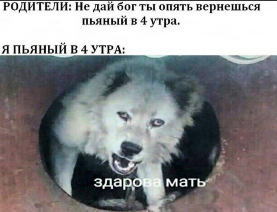 Сериал стая Волков