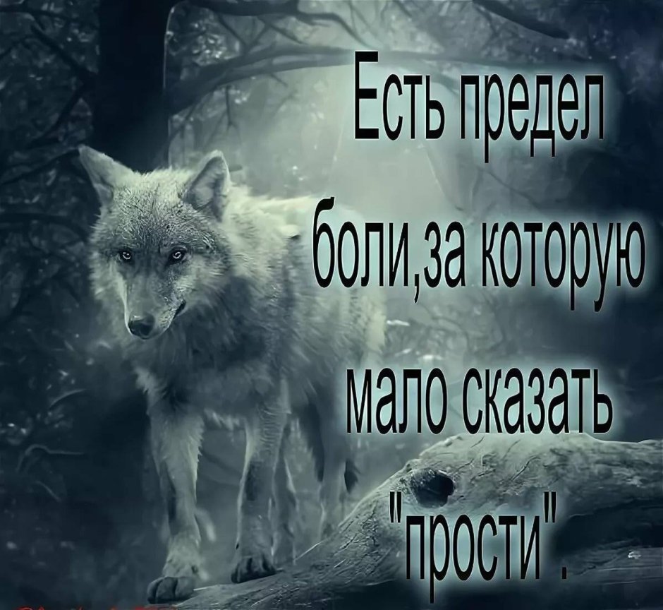 Ларри волк трахаетзверополис