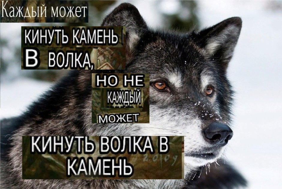 Волк обнимает девушку