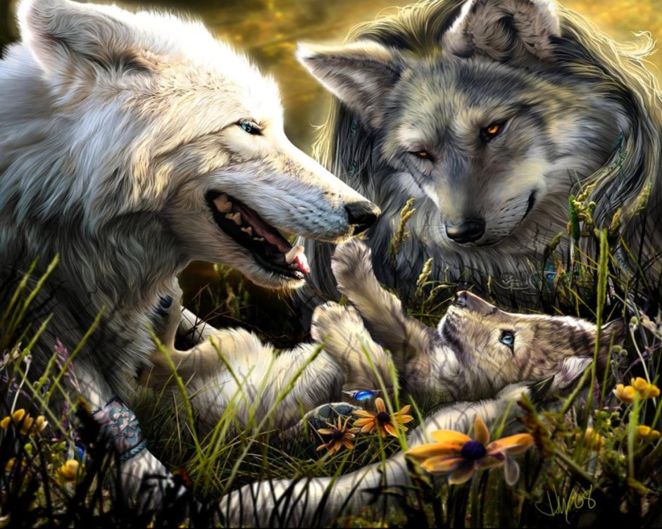 Beautiful Wolf