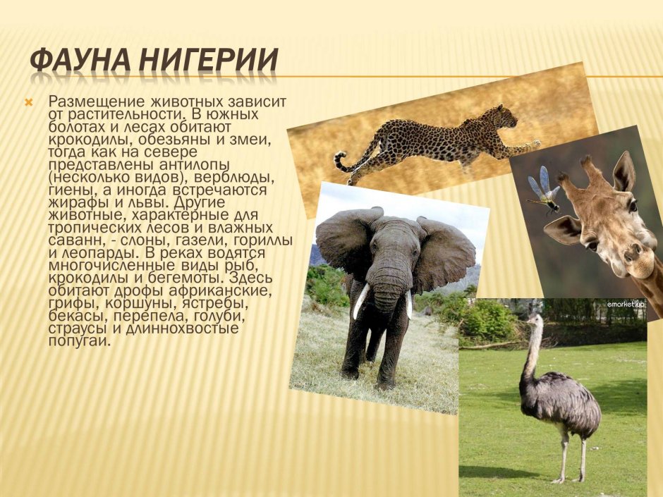 Национальный парк Диндер
