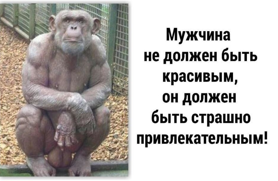 Обезьяна и баба