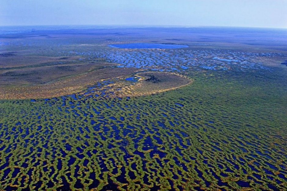 Западно-Сибирская низменность