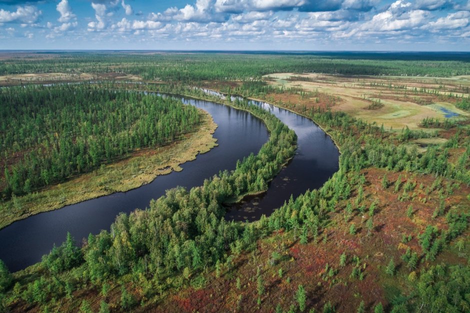 Западно-Сибирская низменность