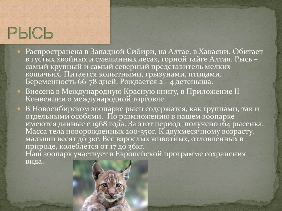 Васюганский заповедник Томской области