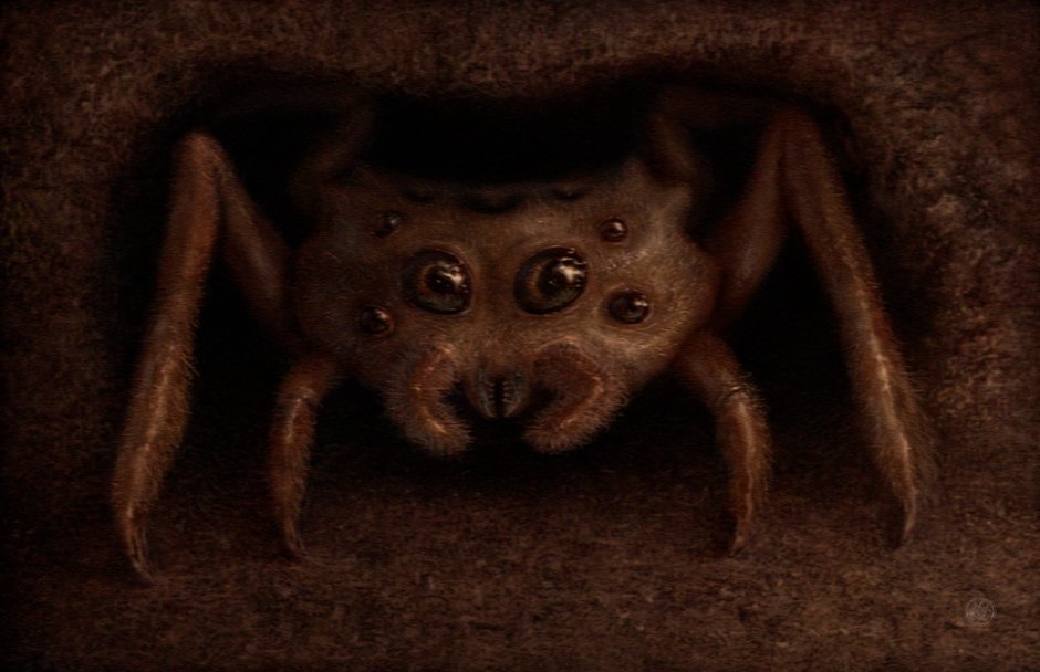 Песчаный шестиглазый паук