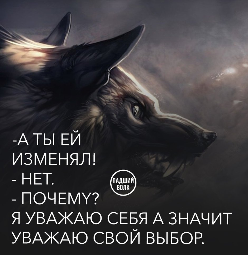 Волк живой