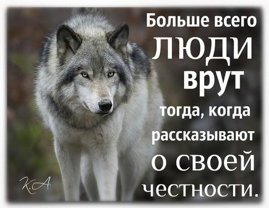Bonnie Marris художник