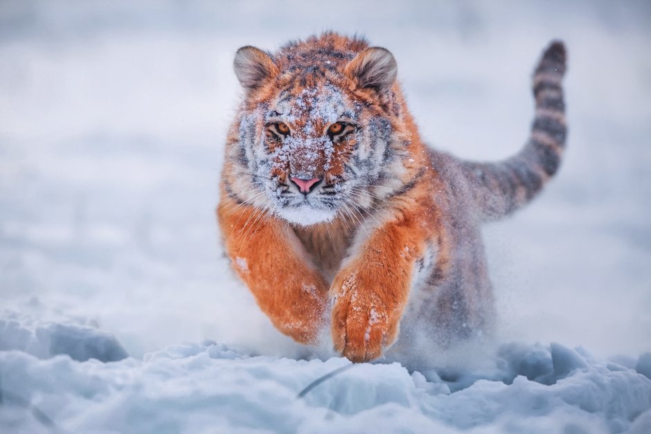 Вадим Трунов фотограф