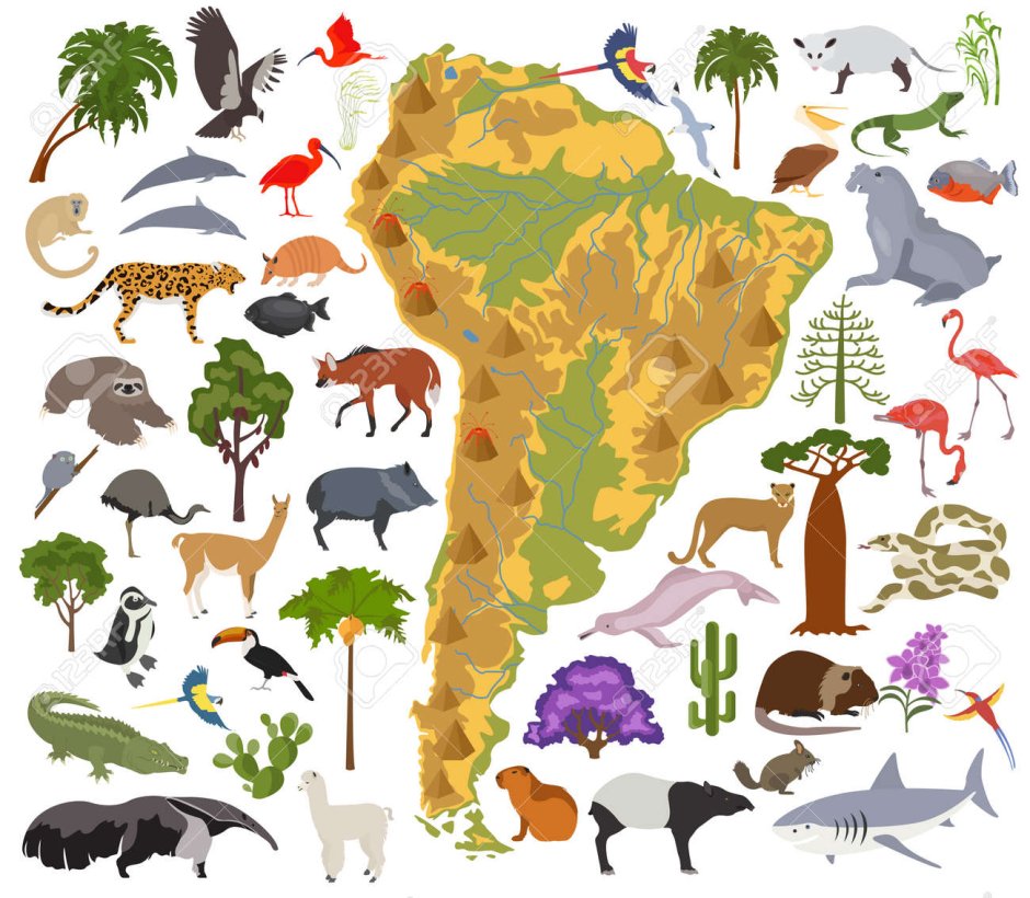 Animals in Russian language