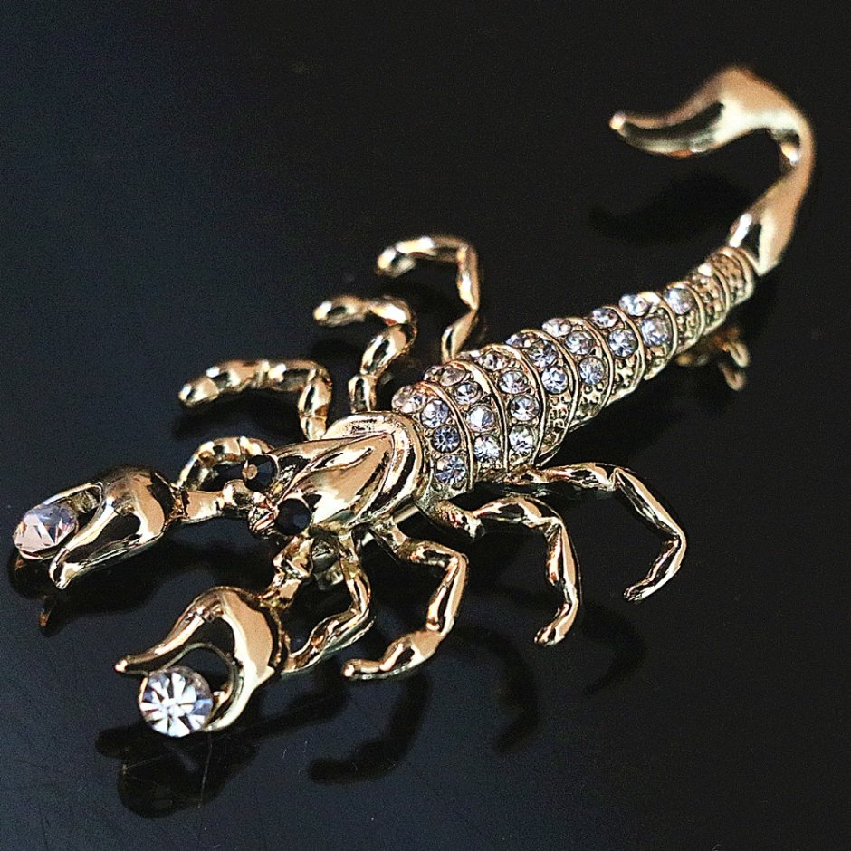 Скорпион рисунок