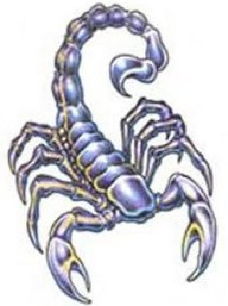 Палестинский Скорпион генурис