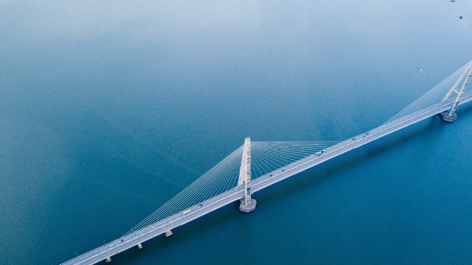 Голубой кит Balaenoptera musculus