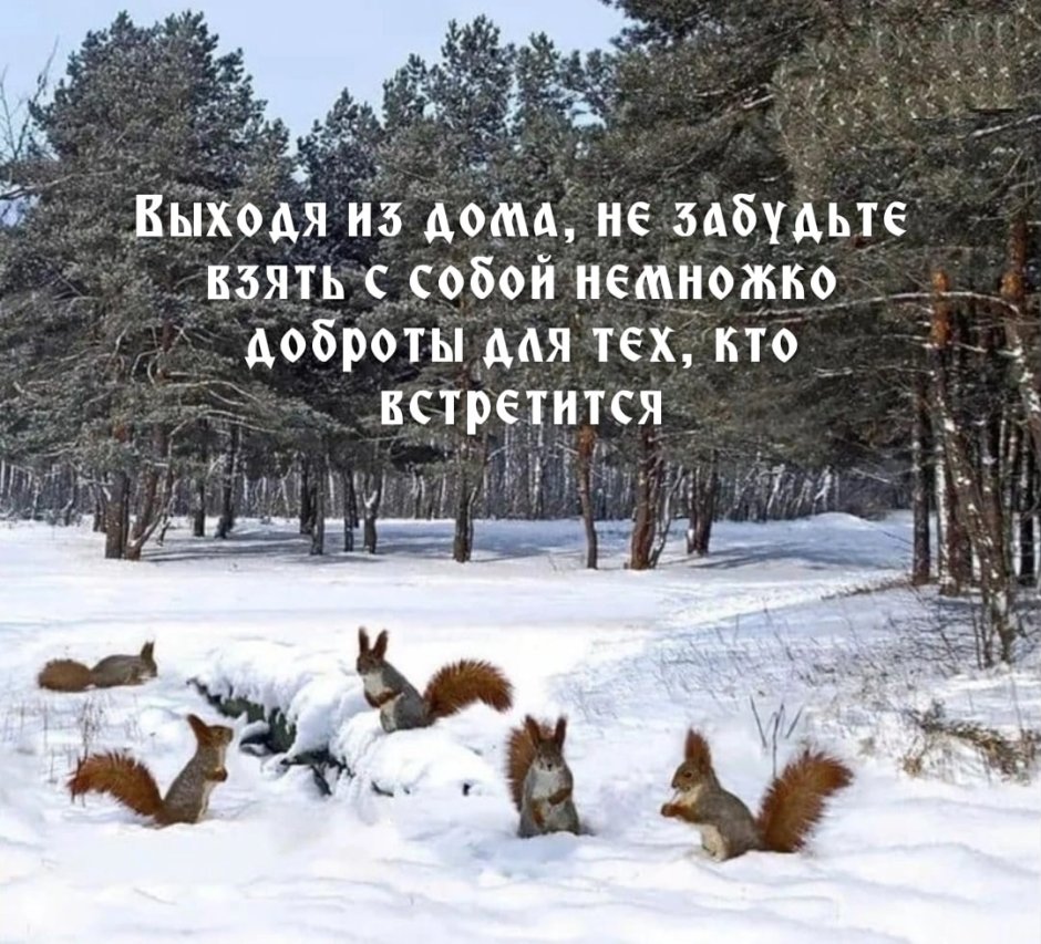 Рысь с рысятами Брянский лес