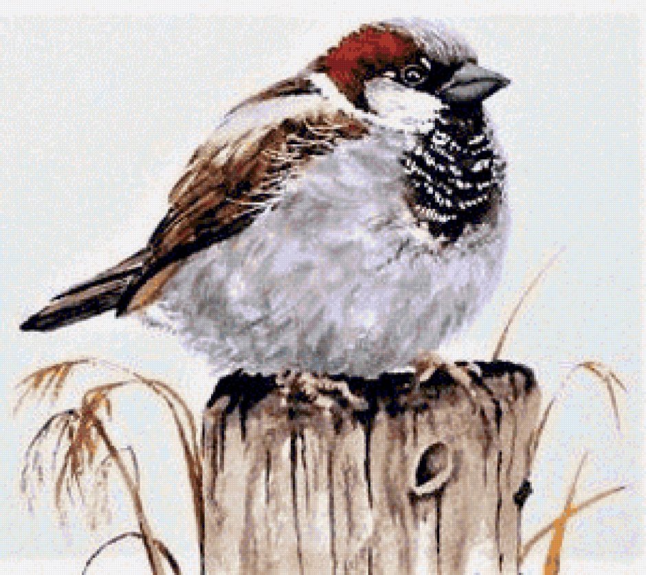 Много птичек на ветке