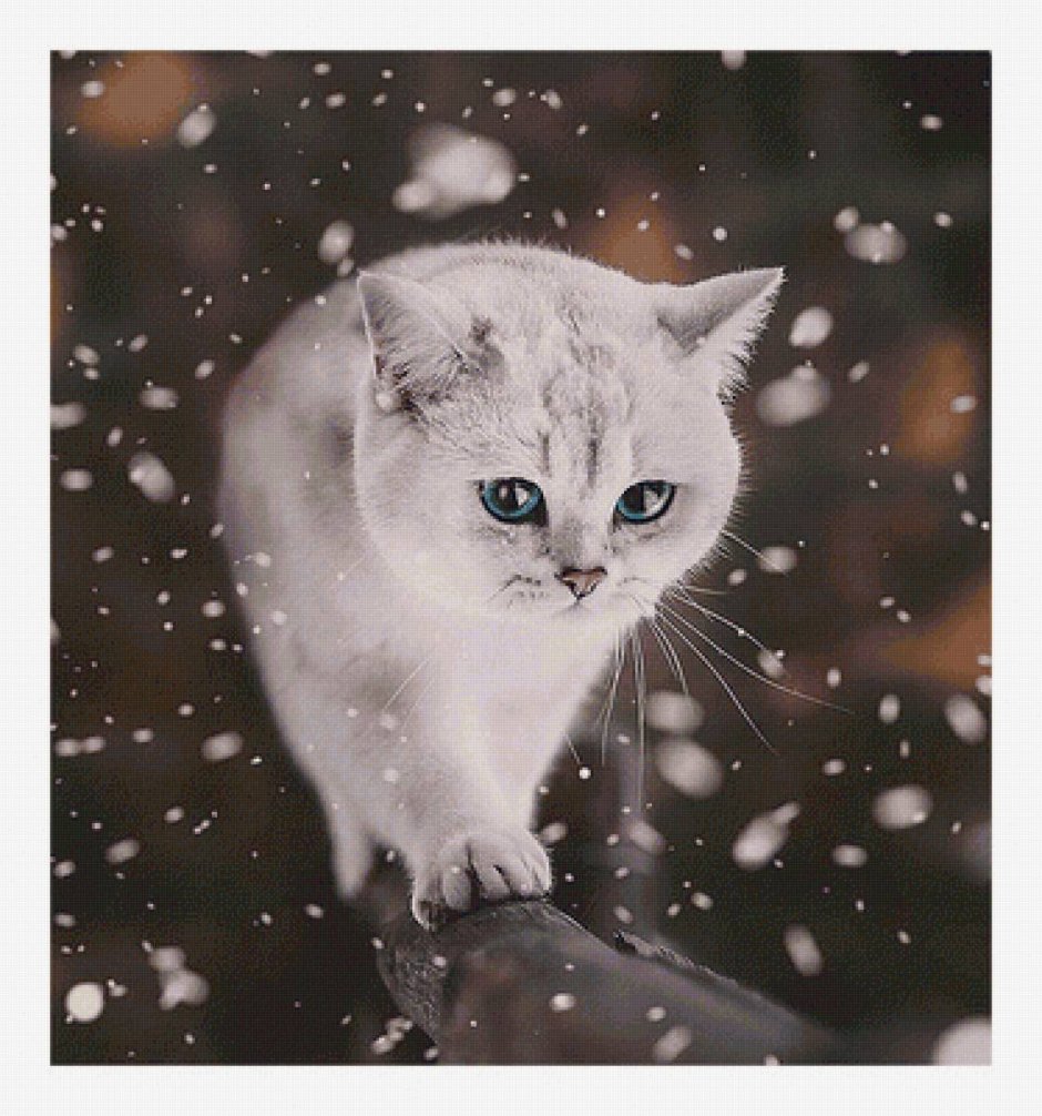 Кот в снегу