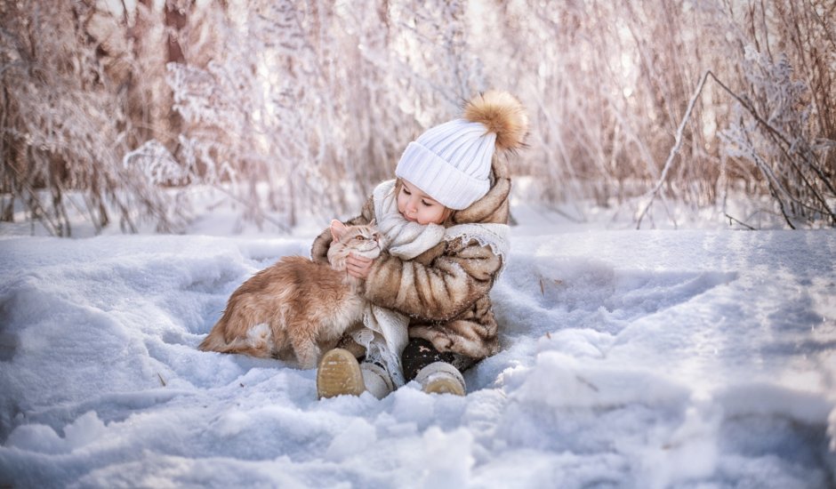 Котики зимой