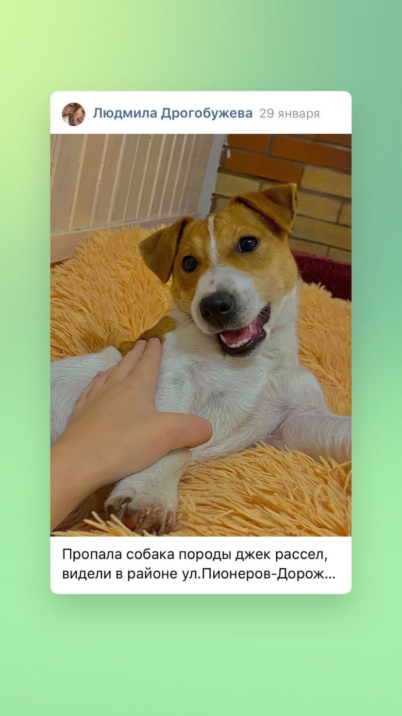 Хаунд Баскервилей