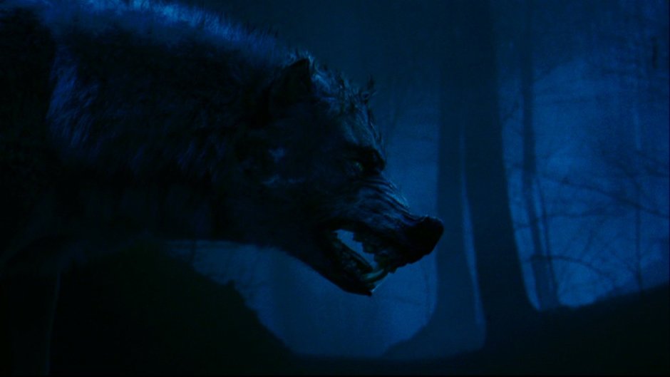 Чарльз Баскервиль собака Баскервилей