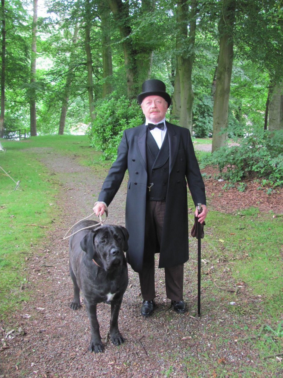 Доберман черный Эстетика