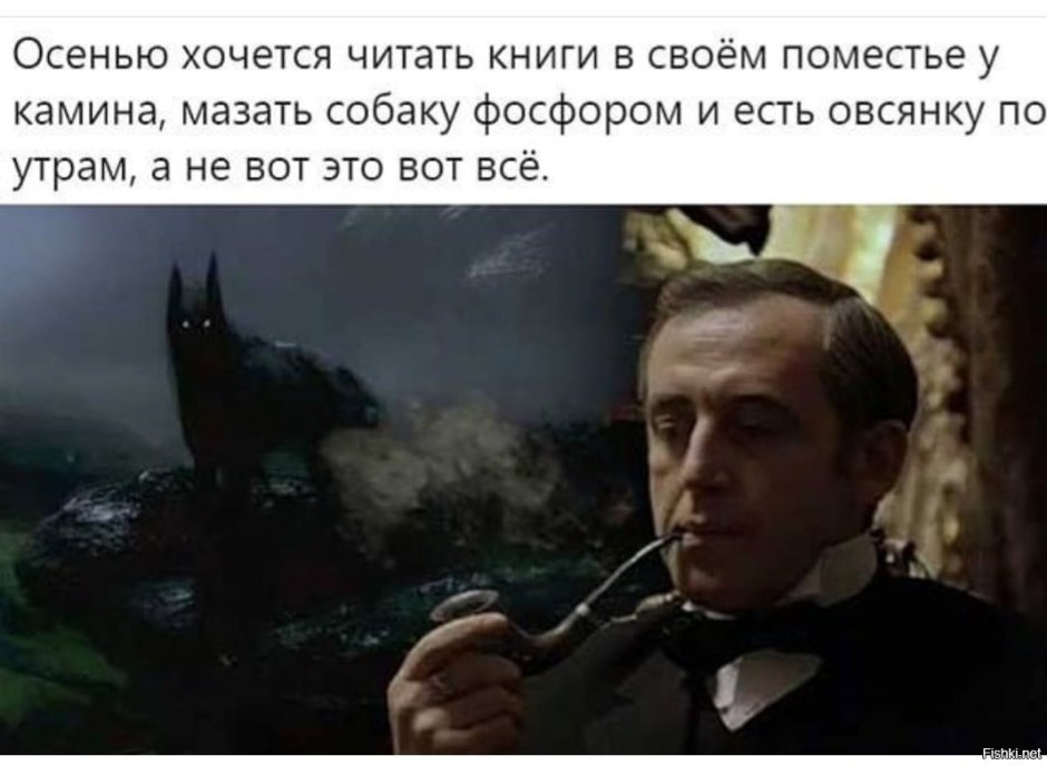 Дирхаунд и волкодав