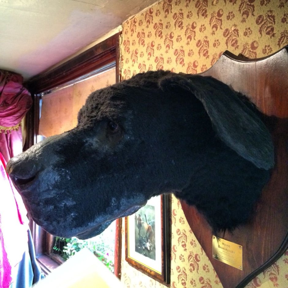 Баскервиль собака Баскервилей