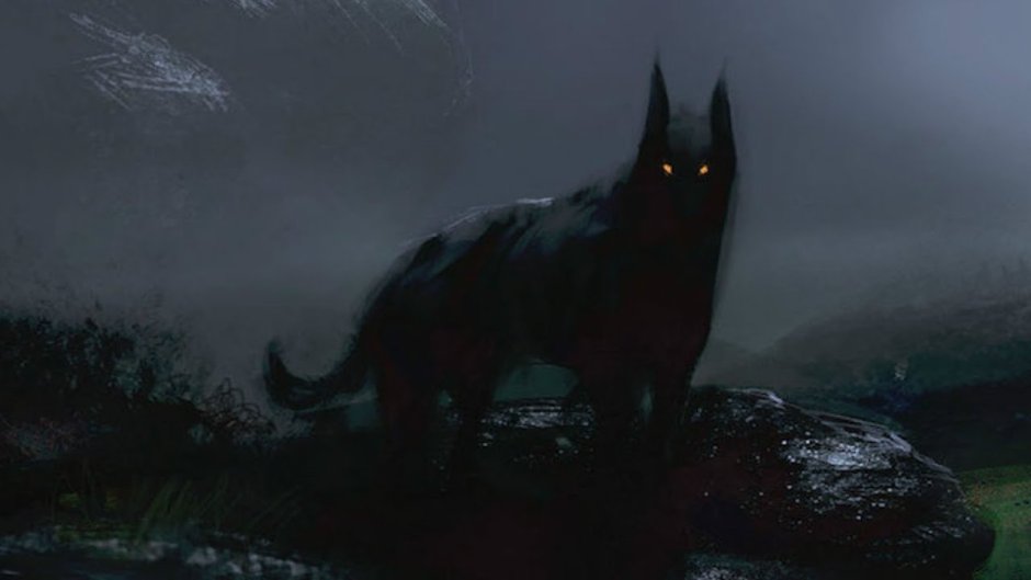 Американский бандог