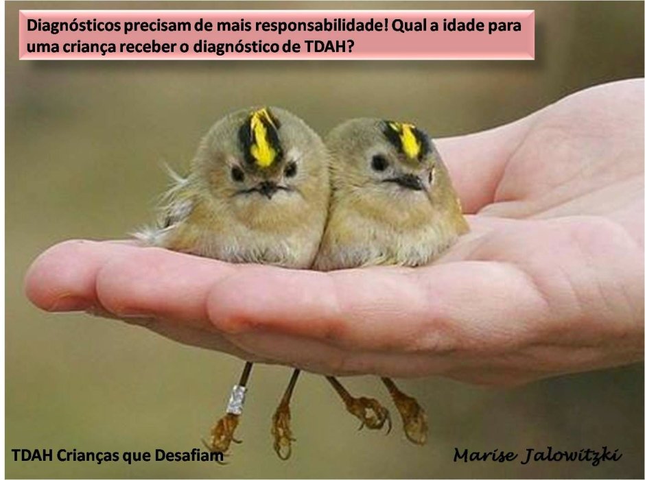 Птичка овсянка летит