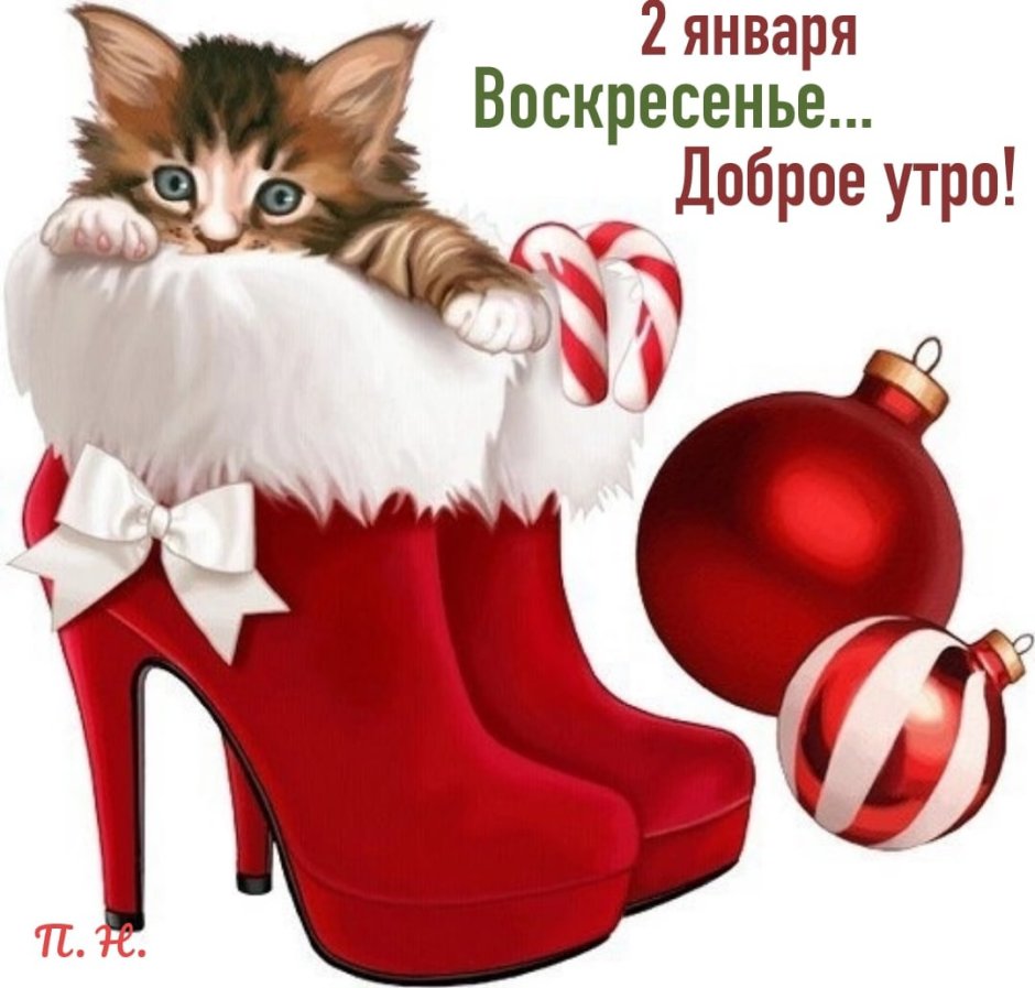 Кошки новый год