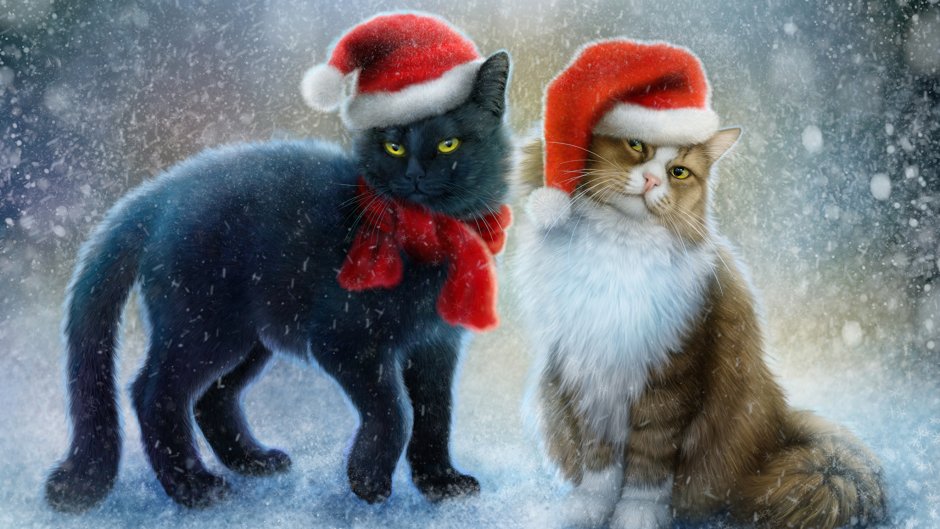Новый год коты