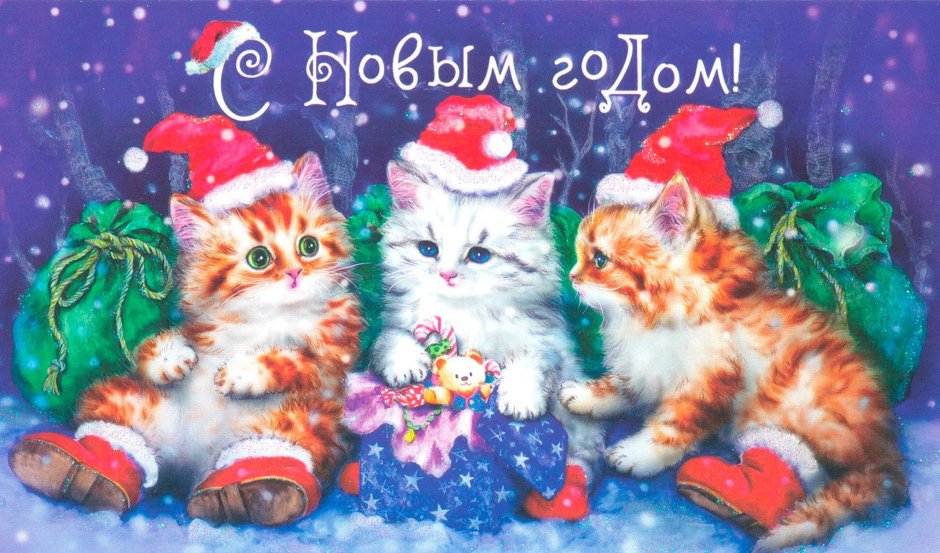Новогодние открытки с котятами