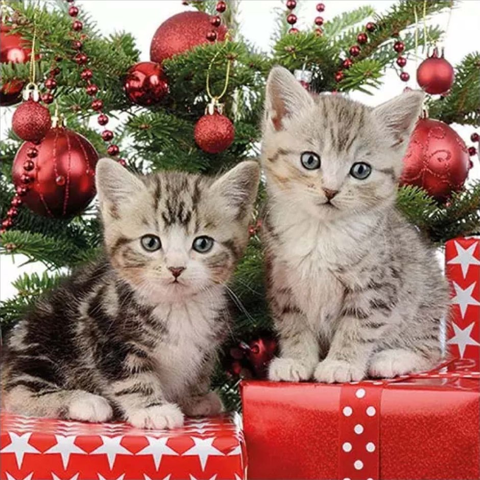 Пазлы с котенком новый год