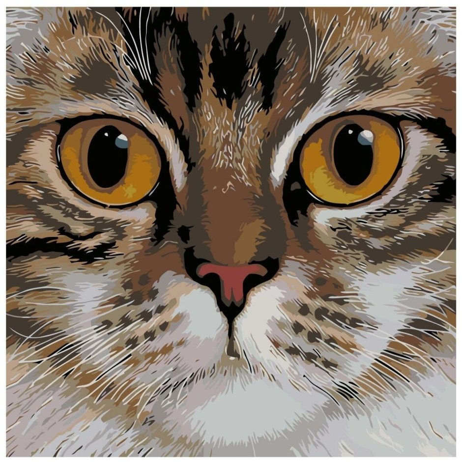 Мордочка котика