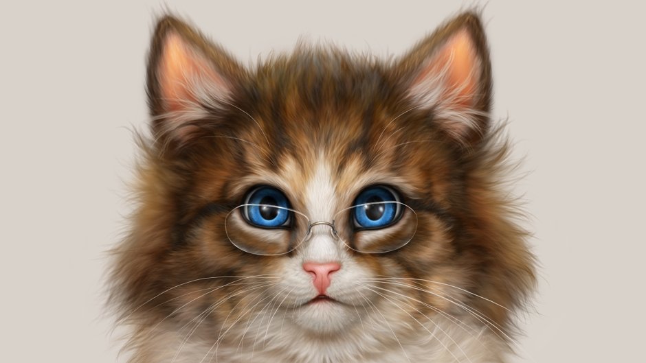 Мордочка котенка