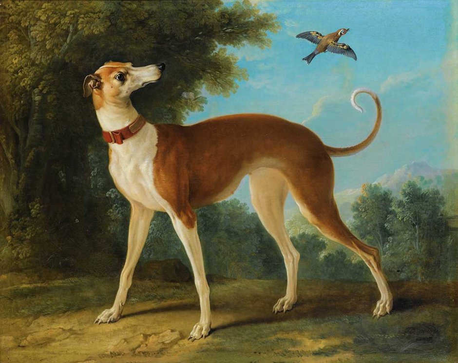 Картины Jean-Baptiste Oudry