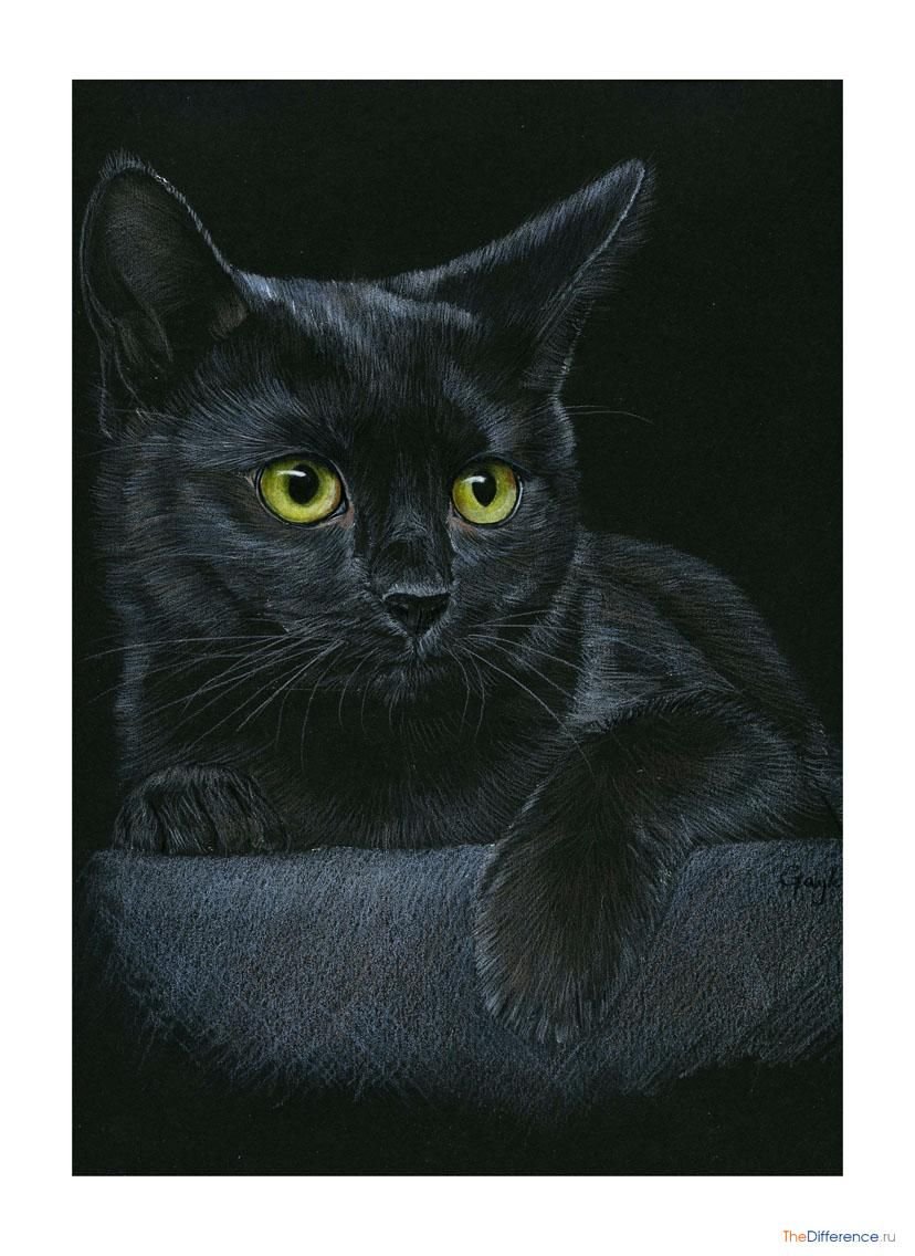 Черные коты в живописи