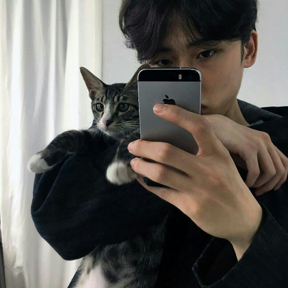 Кореец с котом Эстетика