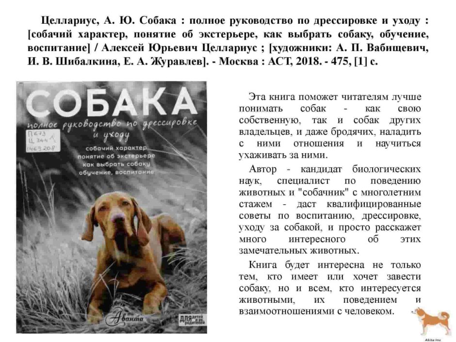 Перуанская голая собака Сэм