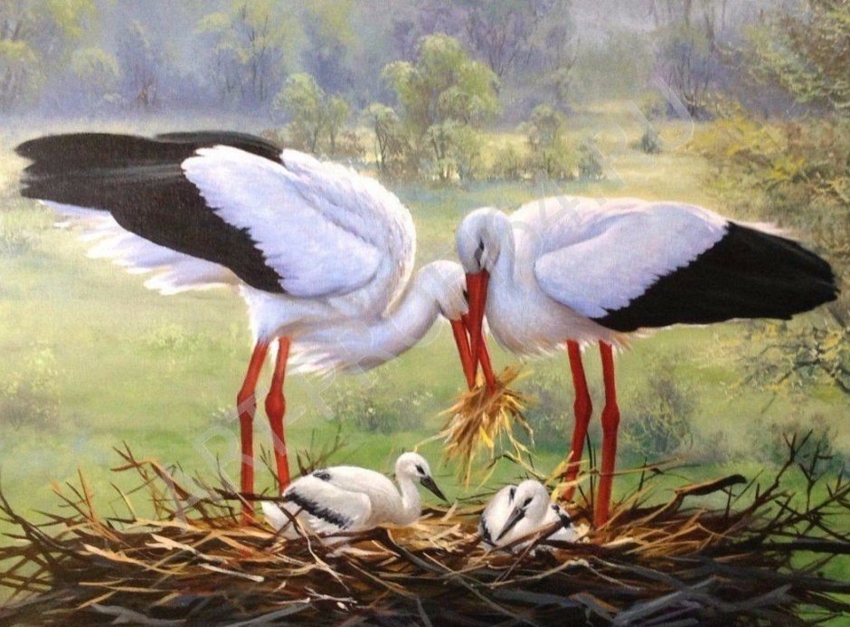 Журавль в природе