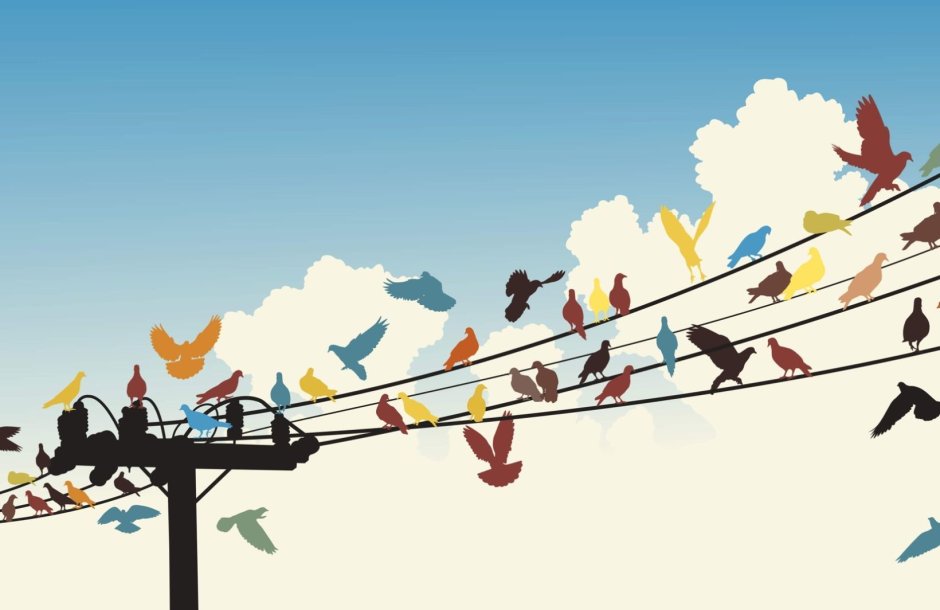 Птицы на проводах арт