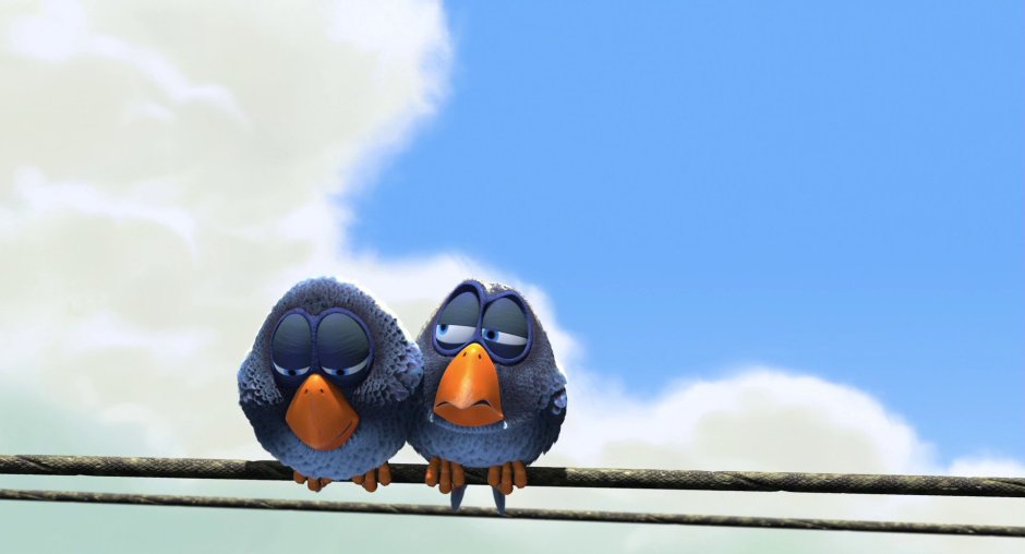 Смешные птички на проводе