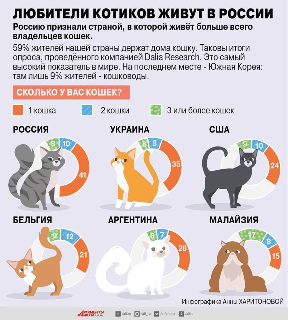 Инфографика животные