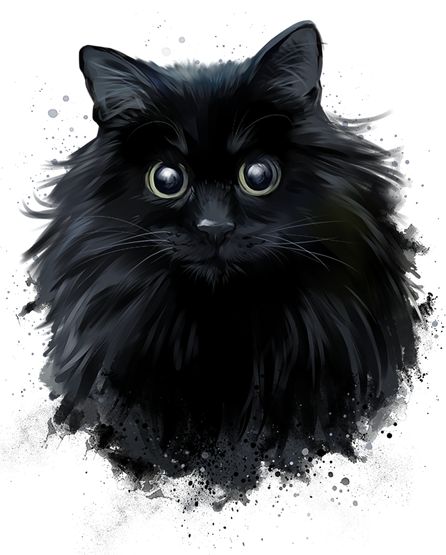 Чёрный длинношёрстный персидский кот