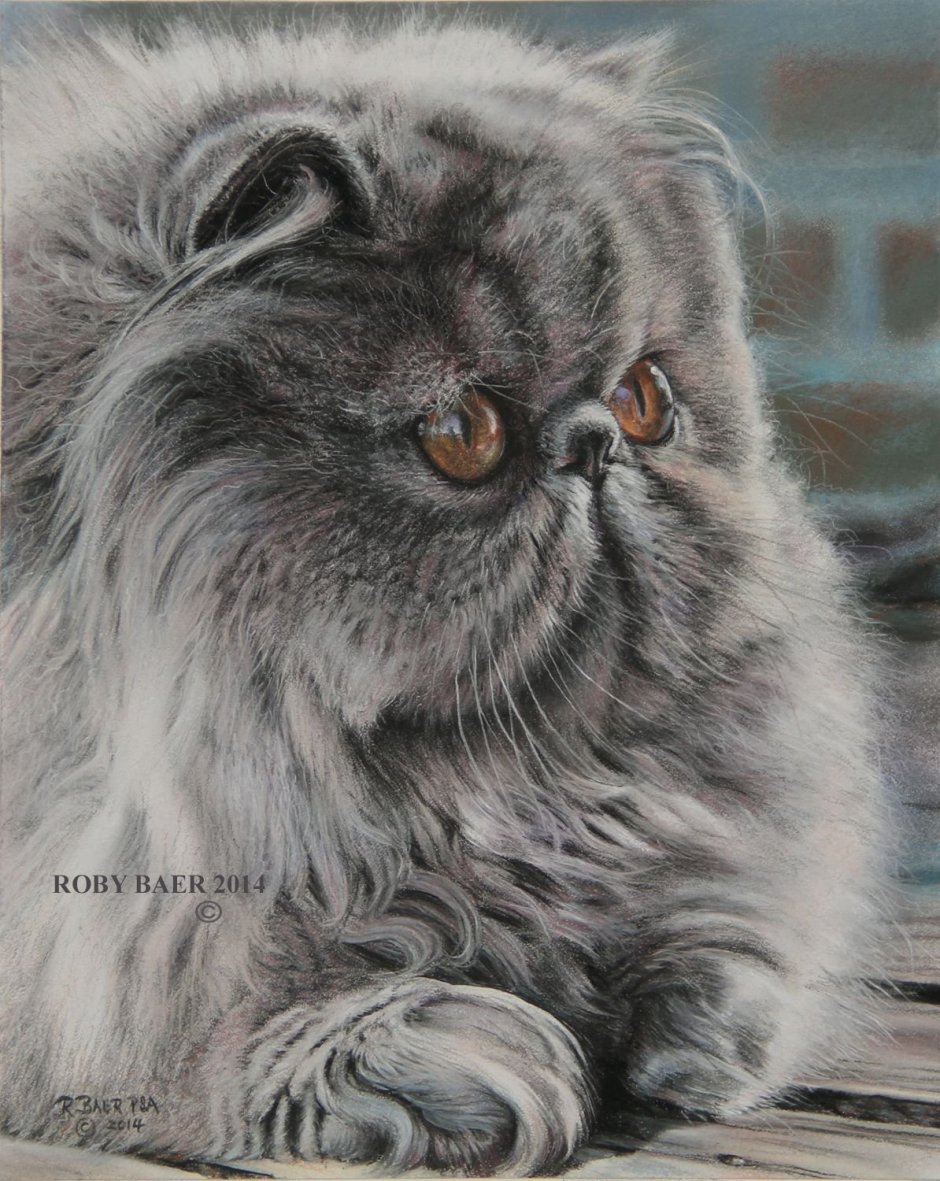 Персидская кошка арт