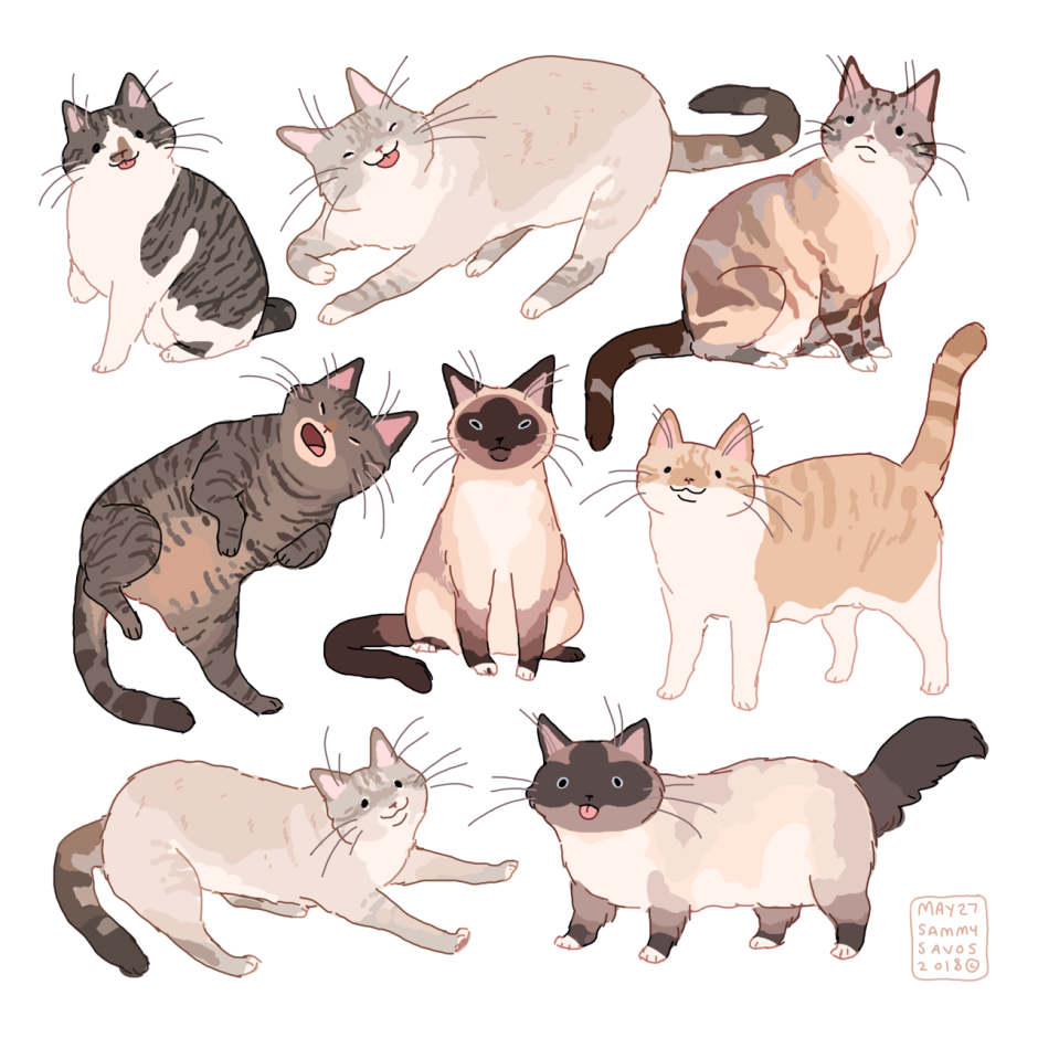 Кошка референс позы