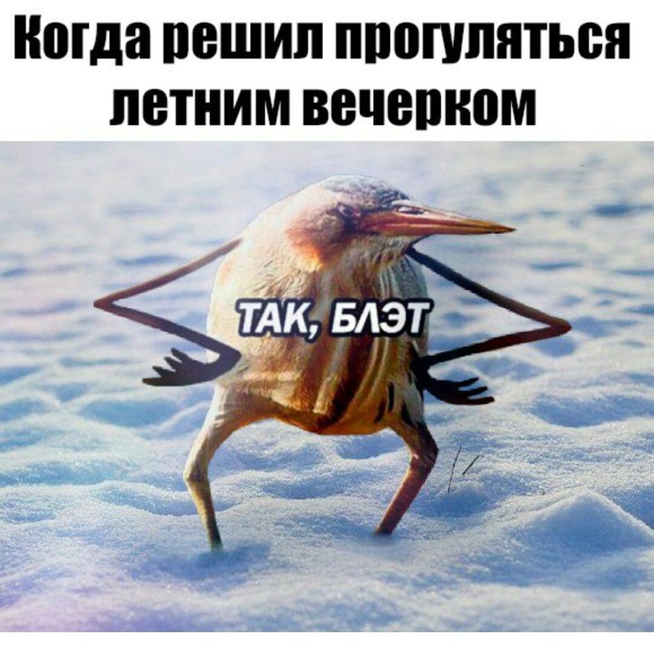 Так бл эт