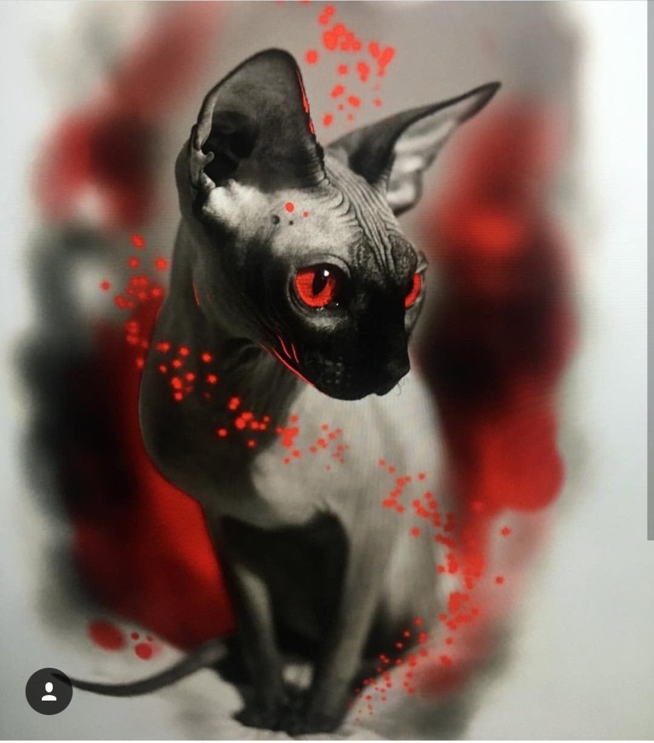 Тату полька сфинкс